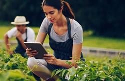 Il lancio della Hospitality Alliance for Responsible Procurement (HARP)