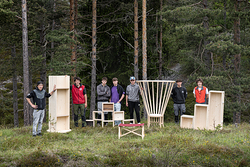 IncasTree, il progetto in Trentino che trasforma il legno colpito dal bostrico 